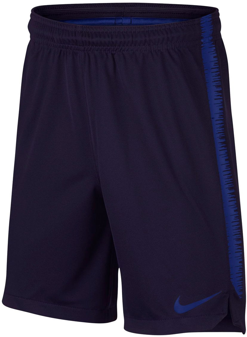 Shorts Nike Nike Dry Squad K 18 Shorts Mörkblå | 894874-416
