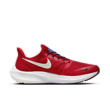 Sneakers och skor Nike Pegasus FlyEase Röd | DJ7381-601, 0