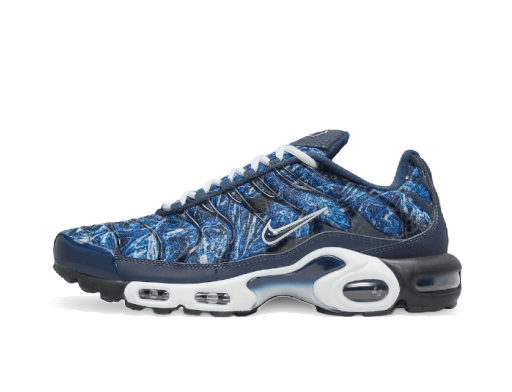 Sneakers och skor Nike Air Max Plus Blå | DO6384-400