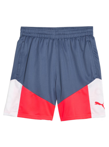 Shorts Puma individualCUP Football Shorts Flerfärgad | 658485-53