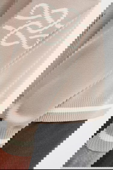 Sweatshirt Filling Pieces Knit Hoodie with Applique Beige | 422532500265, 4