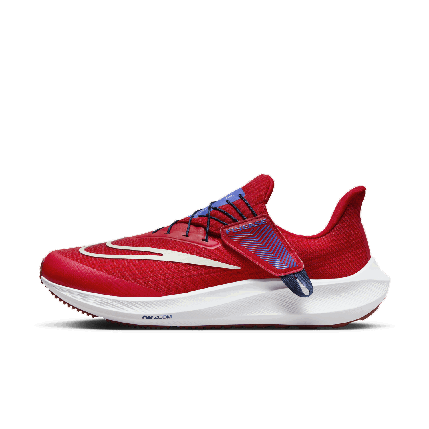 Sneakers och skor Nike Pegasus FlyEase Röd | DJ7381-601, 1