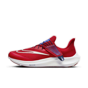 Sneakers och skor Nike Pegasus FlyEase Röd | DJ7381-601, 1