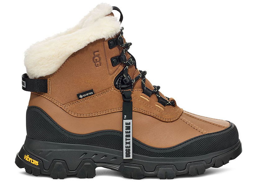 Sneakers och skor UGG Adirondak Meridian Hiker Brun | 1151831-CHE
