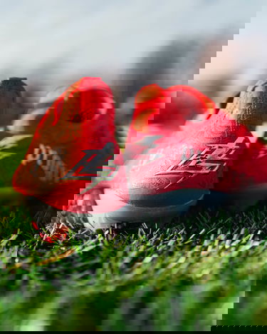 Sneakers och skor New Balance Furon V7 Pro FG Röd | sf1f-bs1, 6