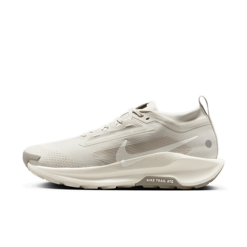 Sneakers och skor Nike Pegasus Trail 5 GORE-TEX Beige | FQ0908-008