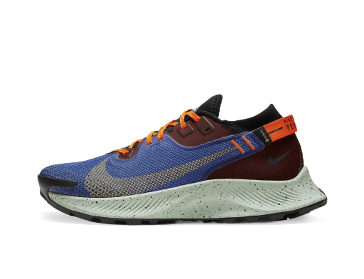 Löpning Nike Pegasus Trail 2 GTX W Blå | CU2018 600