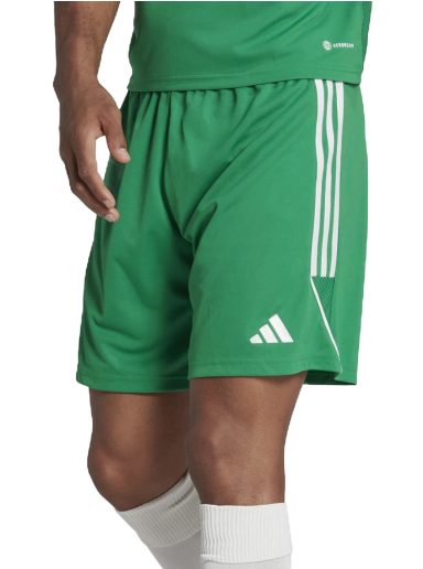 Shorts adidas Performance Tiro 23 Shorts Grön | ib8087