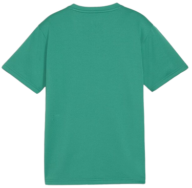 T-shirt Puma teamGOAL T-Shirt Grön | 658636-05, 1