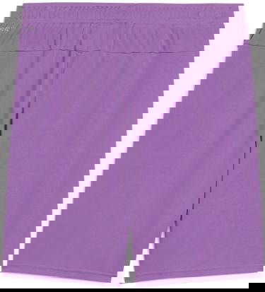 Shorts Puma Puma teamGOAL Shorts Purpur | 705752-33, 1