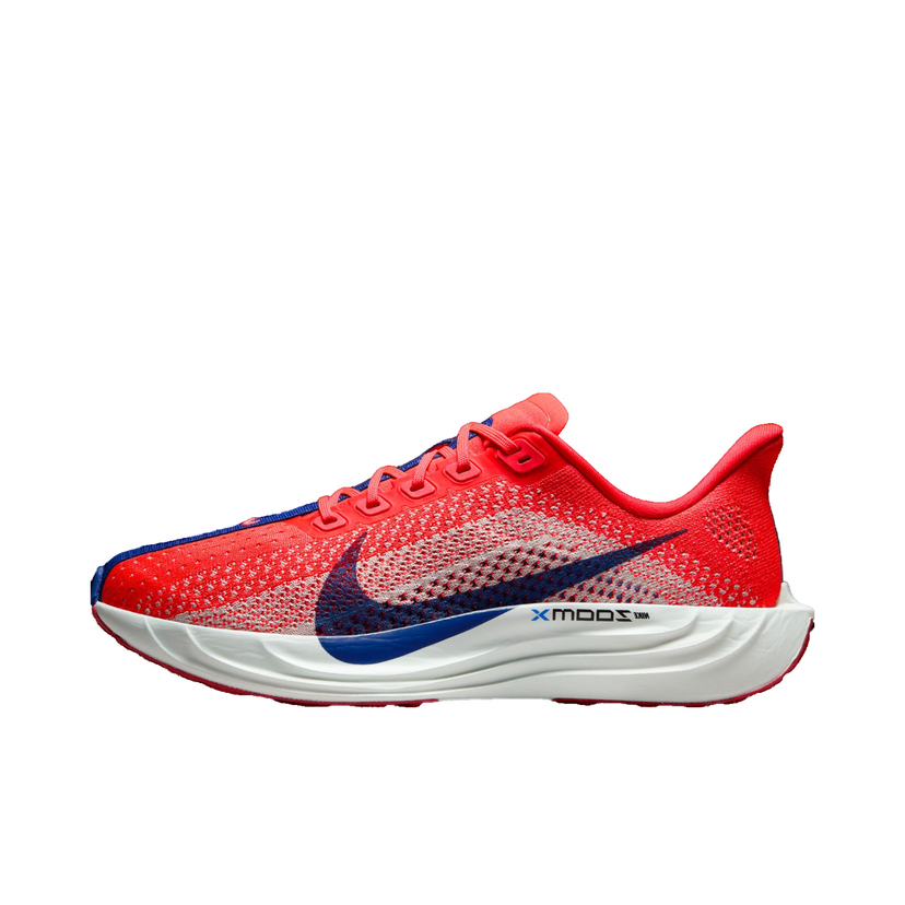 Sneakers och skor Nike Pegasus Plus Röd | fq7261-602