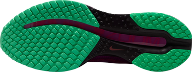 Sneakers och skor Nike Pegasus Premium Faith Kipyegon Purpur | ii0602-500, 4