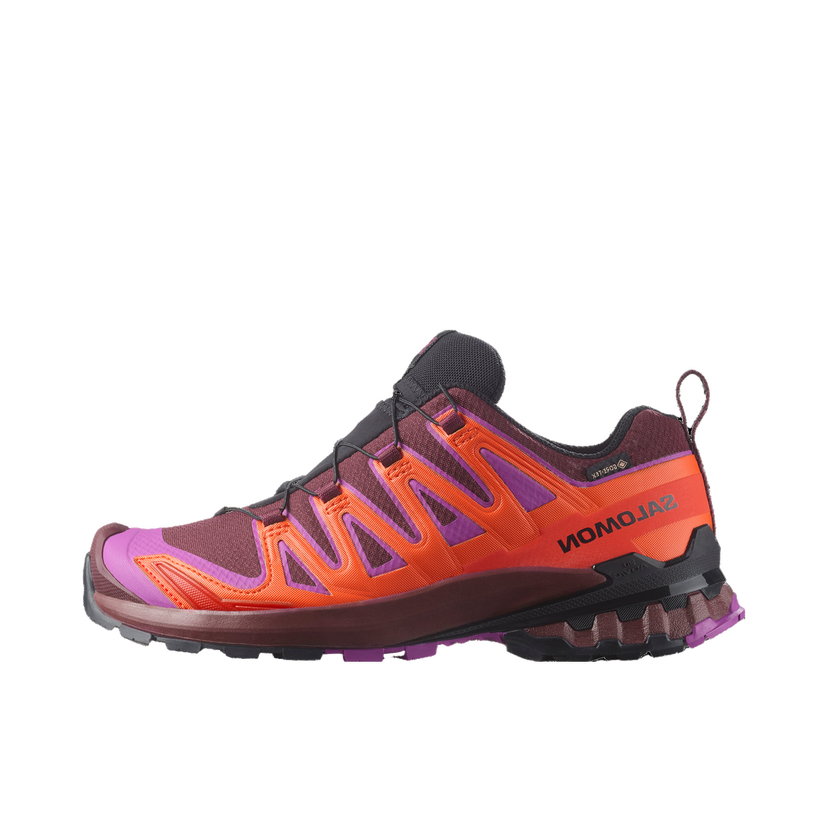 Sneakers och skor Salomon Salomon XA PRO 3D V9 GTX Purpur | l47961900