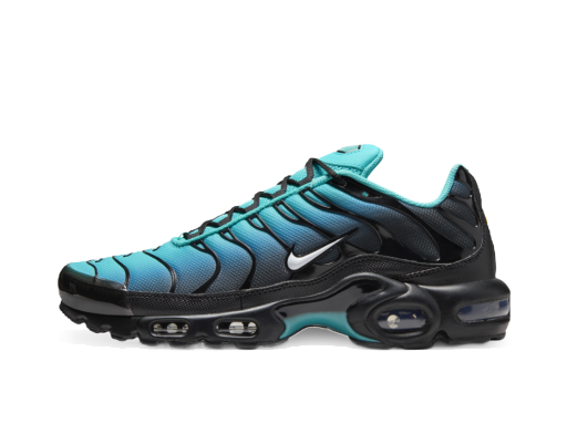Sneakers och skor Nike Air Max Plus "Light Retro" Blå | DM0032-401