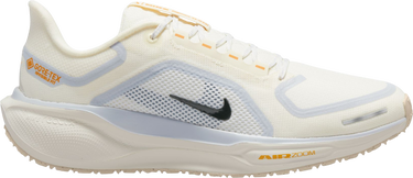 Sneakers och skor Nike Pegasus 41 GORE-TEX Beige | fq1356-102, 0