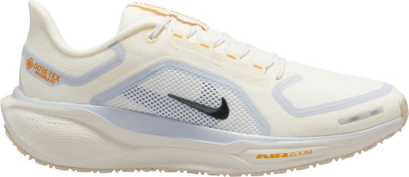 Sneakers och skor Nike Pegasus 41 GORE-TEX Beige | fq1356-102