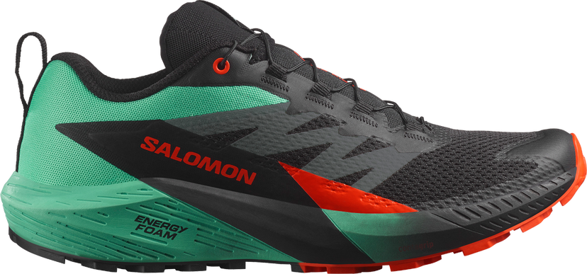 Löpning Salomon SENSE RIDE 5 Grön | l47698200
