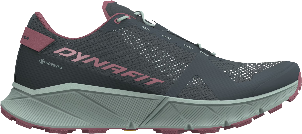 Sneakers och skor Dynafit ULTRA 100 GTX W Grå | 08-0000064090-0713, 0