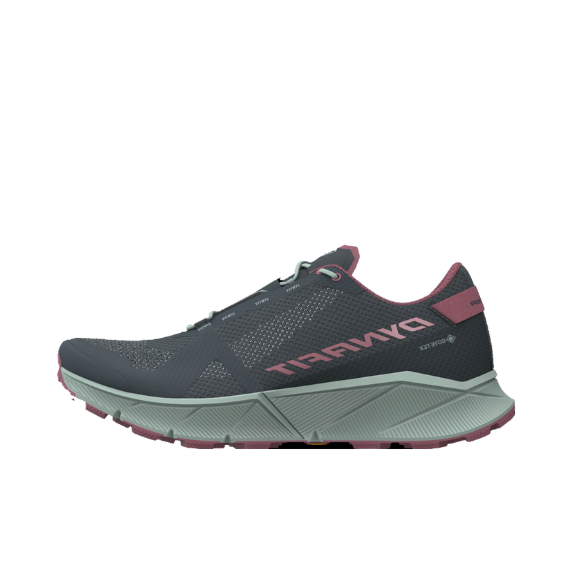 Sneakers och skor Dynafit ULTRA 100 GTX W Grå | 08-0000064090-0713