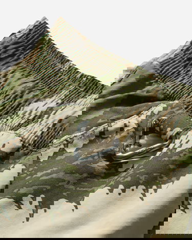 Shorts Nike ACG Reservoir Goat Shorts Grön | HV0595-229, 4