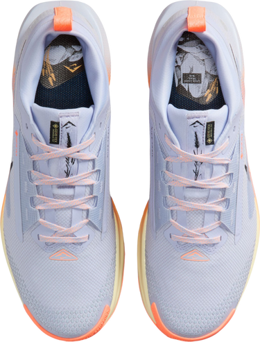 Sneakers och skor Nike Pegasus Trail 5 GORE-TEX Flerfärgad | fq0908-011, 2