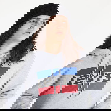 Sweatshirt Levi's ® Graphic Standard Hoodie Grå | 18487-0059, 2