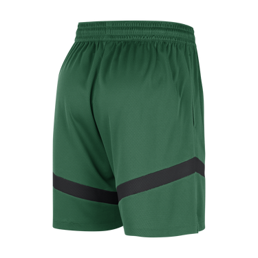 Shorts Nike Dri-FIT NBA Boston Celtics Icon Grön | FB4016-312, 2