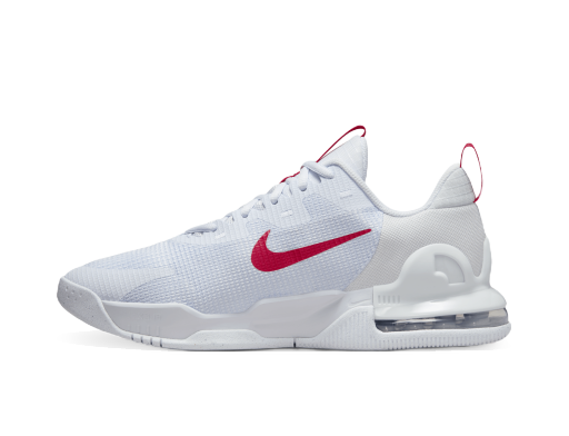 Sneakers och skor Nike Air Max Alpha Trainer 5 Grå | DM0829-012