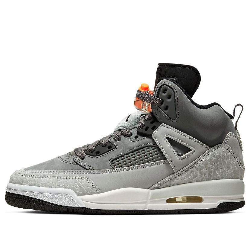 Sneakers och skor Jordan Air Jordan Spizike Grå | 317321-008