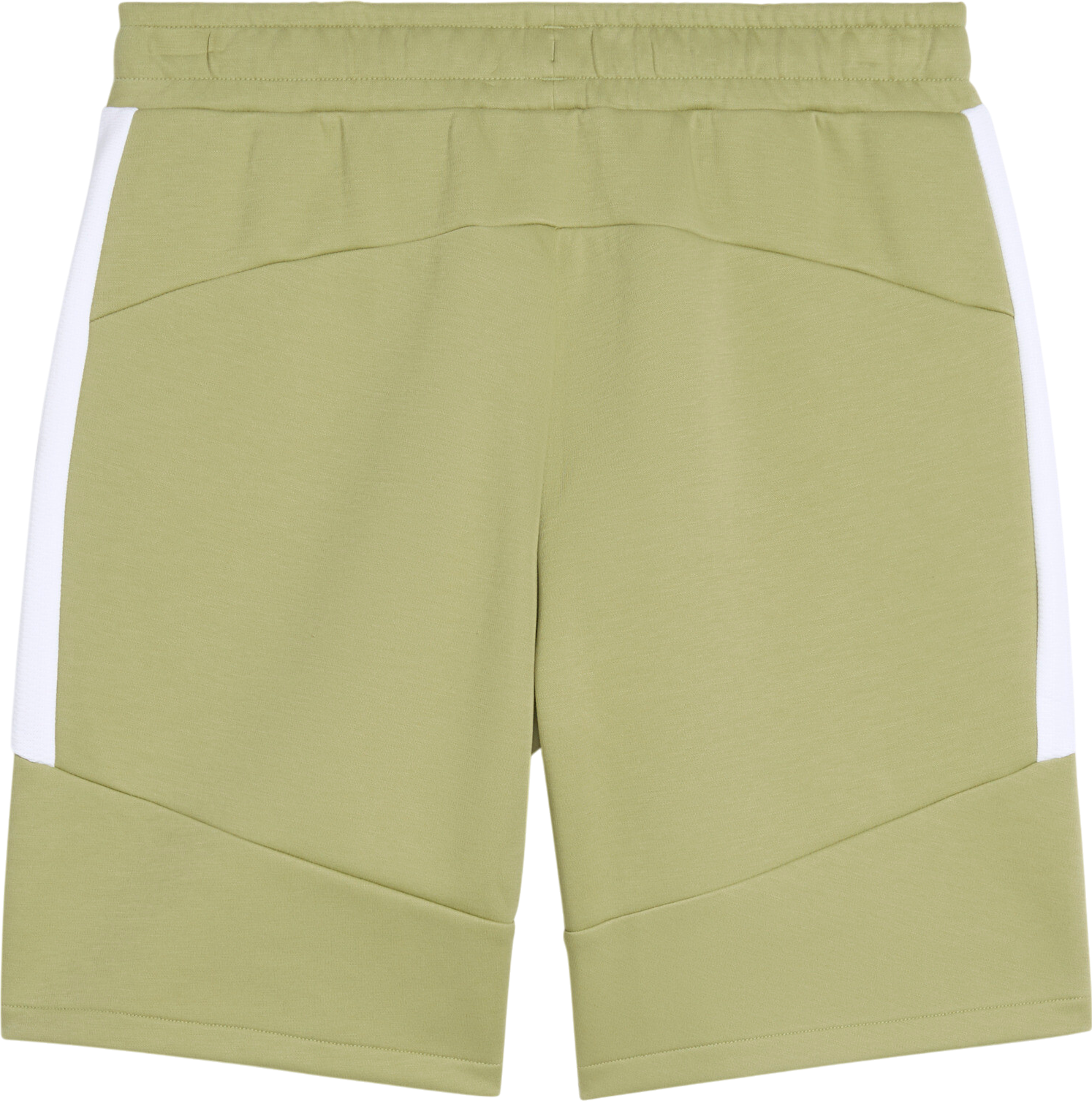 Shorts Puma Puma teamEvostripe Shorts Grön | 659951-40, 1