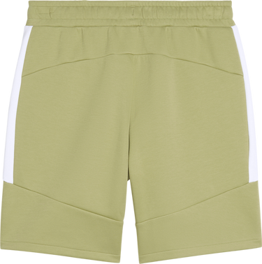 Shorts Puma Puma teamEvostripe Shorts Grön | 659951-40, 1