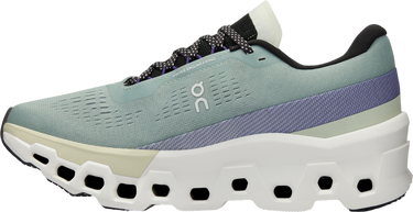 Sneakers och skor On Running Cloudmonster 2 Grå | 3we10112078, 2