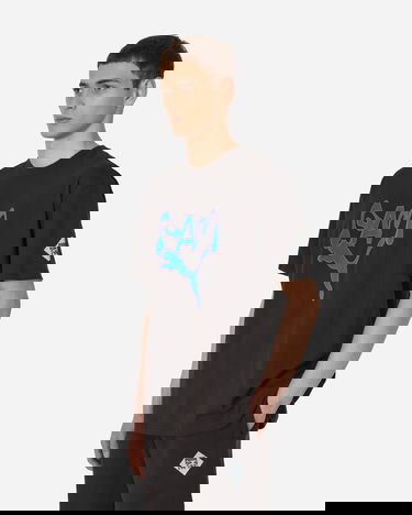 T-shirt Puma x P.A.M. Graphic T-Shirt Svart | 538810-01, 1