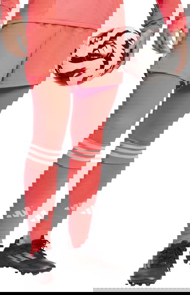 Träningsoverall adidas Originals Tiro 25 Pro GK Tights Röd | jh3311, 3