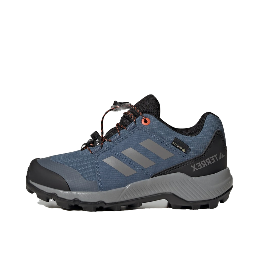Sneakers och skor adidas Performance Terrex GORE-TEX Hiking Shoes Blå | JI1358