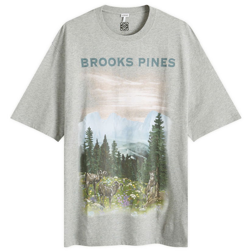 T-shirt Loewe Mountain Graphic T-Shirt Grå | H526Y22XBB-1440
