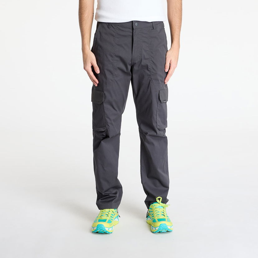Cargo byxor Columbia Columbia Landroamer™ Twill Cargo Pants W36/L32 Grå | 2123191011