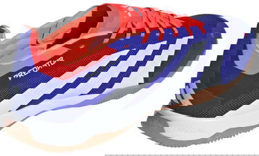 Sneakers och skor adidas Performance PREDATOR ELITE IN Blå | if6316, 5
