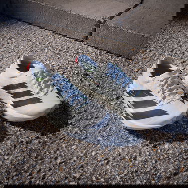 Sneakers och skor adidas Performance ADIZERO ADIOS 9 Vit | if9418, 7