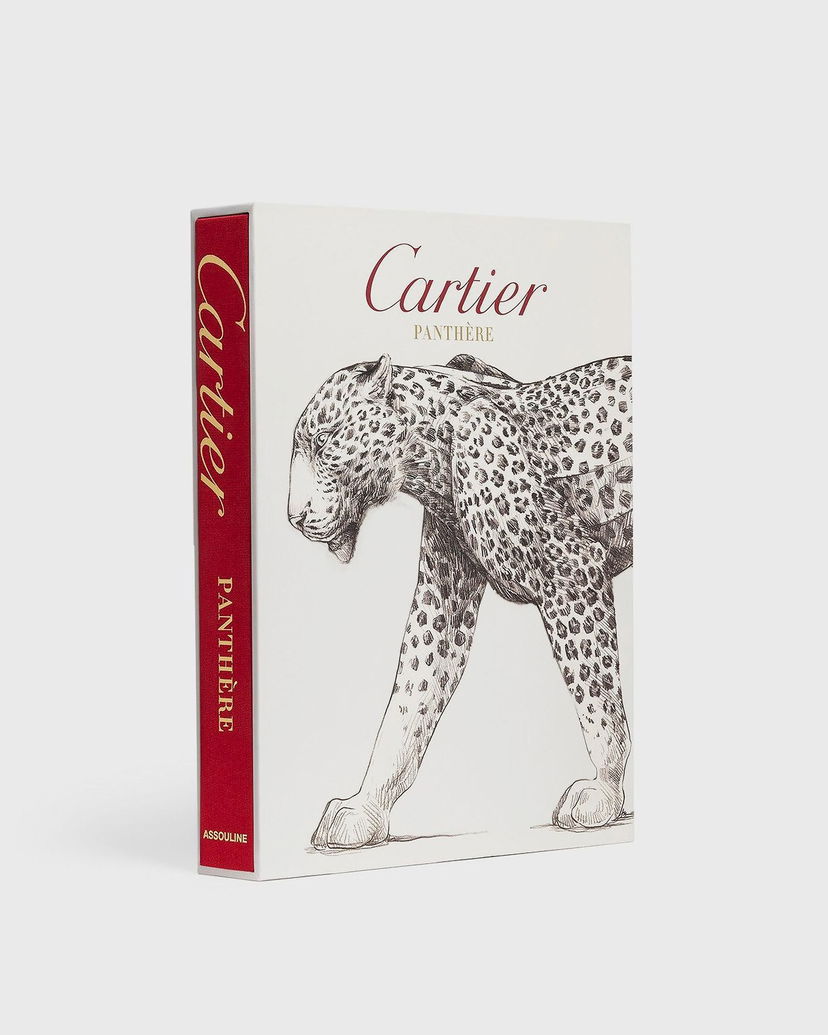 Bok och tidning ASSOULINE Art & Design Book Flerfärgad | 9781614284284