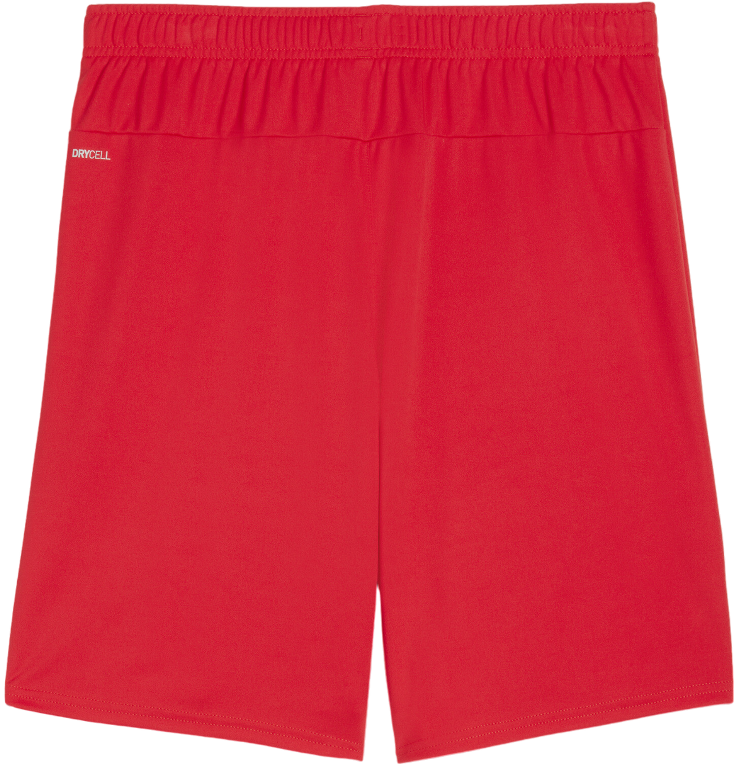 Shorts Puma teamGOAL Shorts Röd | 705752-01, 1