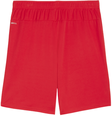 Shorts Puma teamGOAL Shorts Röd | 705752-01, 1