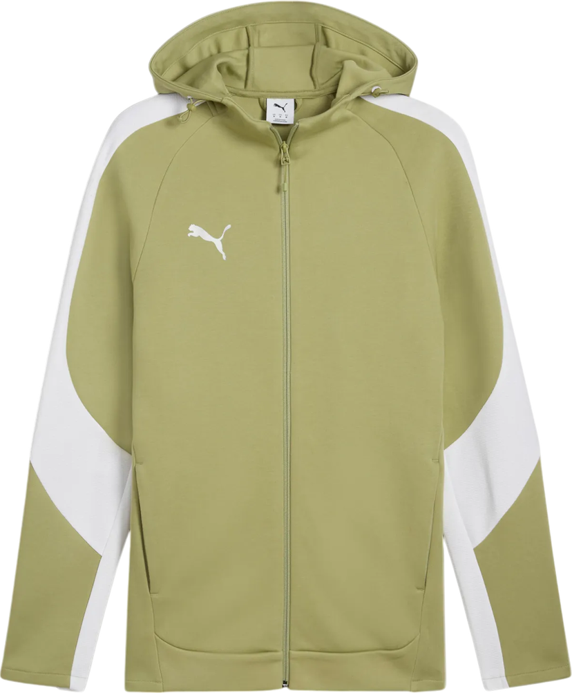 Sweatshirt Puma teamEVOSTRIPE Hooded Jacket Grön | 659947-40