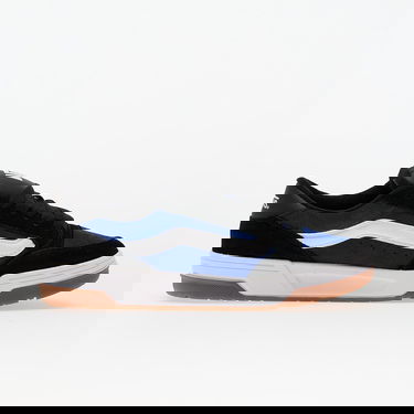 Sneakers och skor Vans Skate Hylane Blå | VN000D26Y61, 2