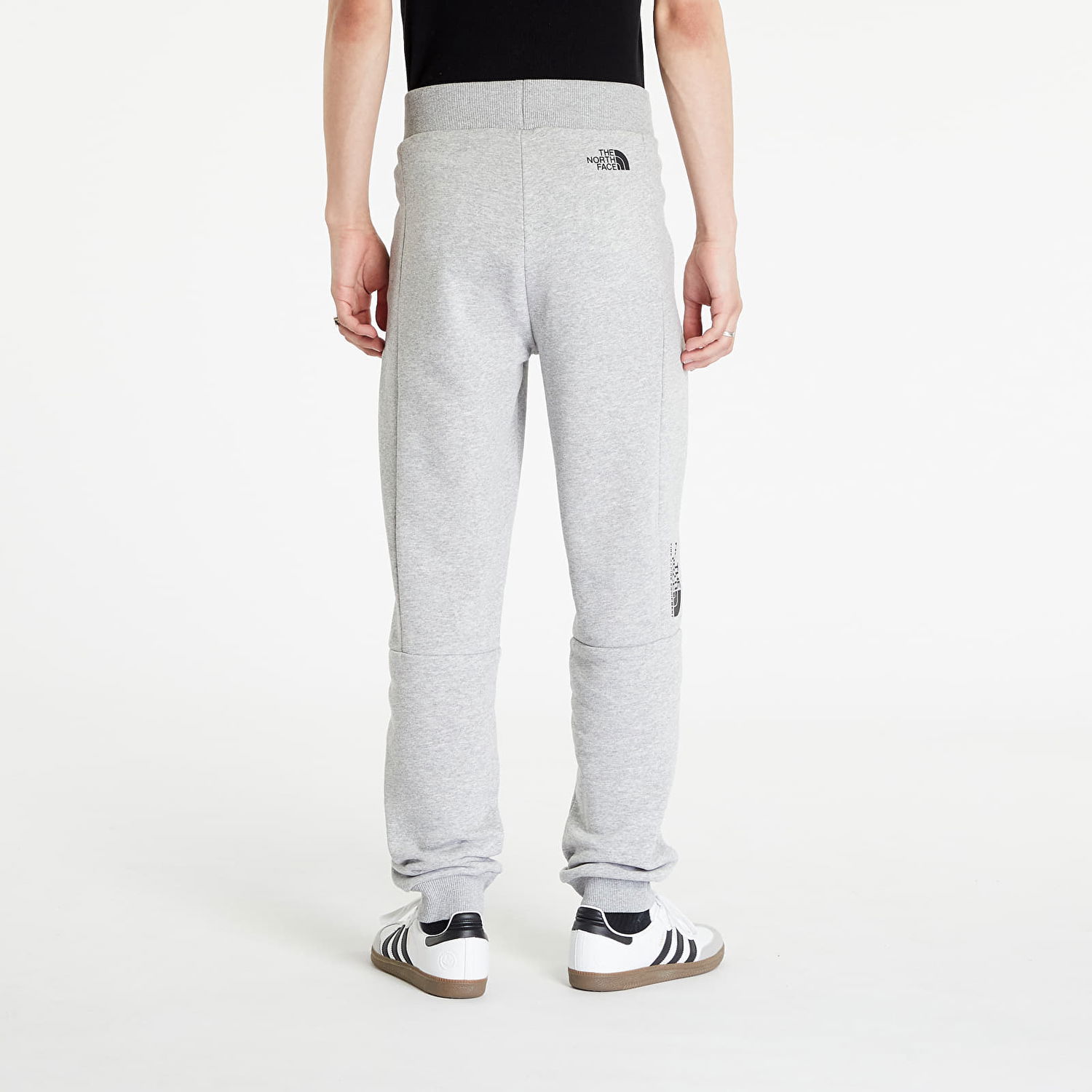 Träningsbyxor The North Face Fine Alpine Equipment Sweatpants Grå | NF0A7R2KHKQ1, 1
