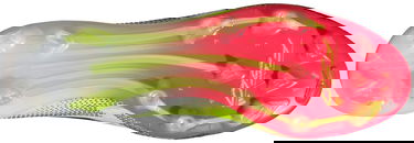 Sneakers och skor adidas Performance F50 ELITE FG Vit | ie1206, 3