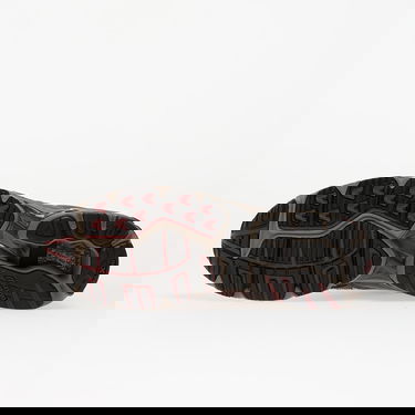 Sneakers och skor Mizuno Wave Rider 10 Brun | D1GA243112, 1