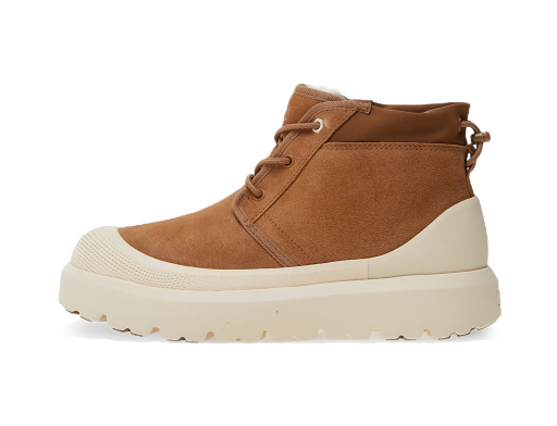 Sneakers och skor UGG M Neumel Weather Hybrid Chestnutstnut/ Whitecap Brun | 1143991-CWTC