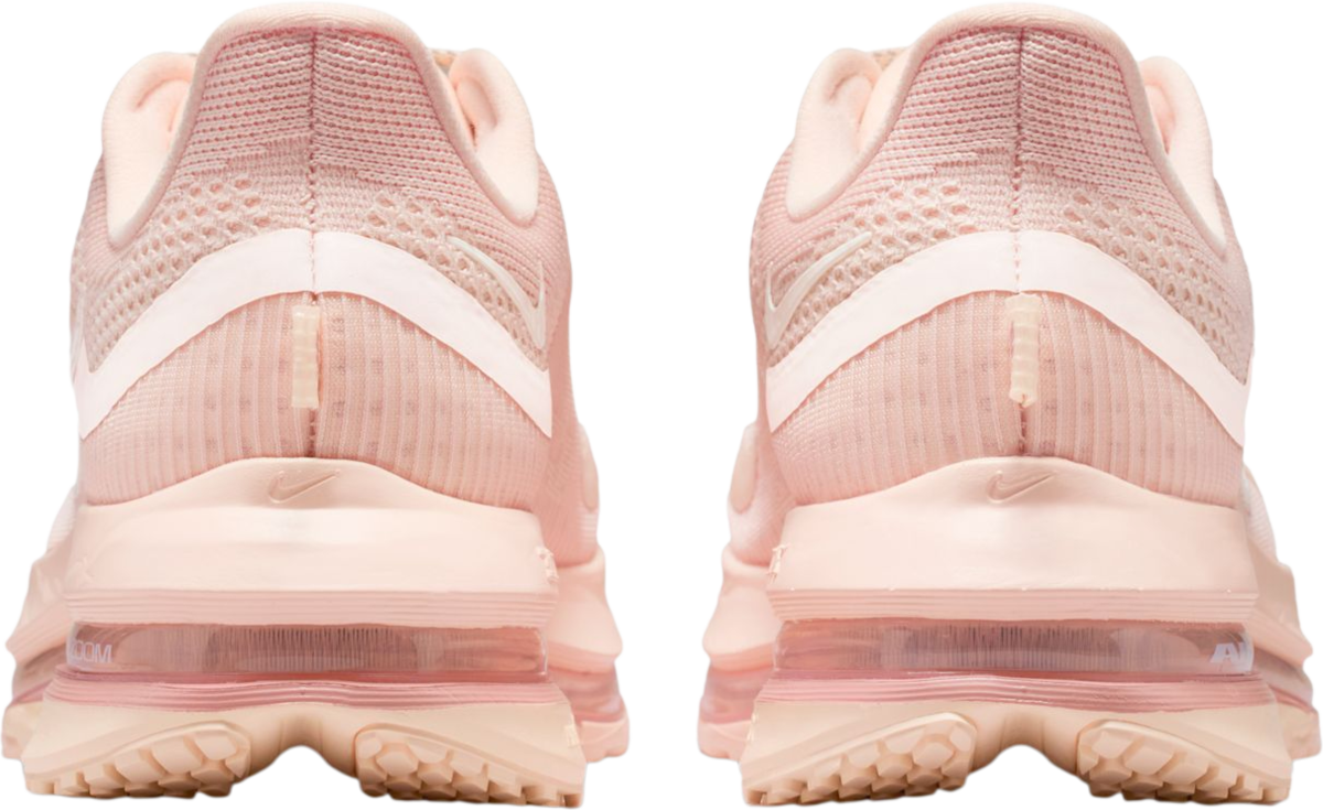 Sneakers och skor Nike Pegasus Premium Rosa | hq2593-801, 1
