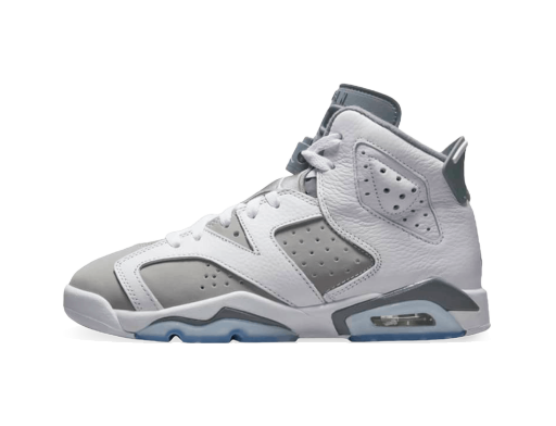 Sneakers och skor Jordan Air Jordan 6 Retro "Cool Grey" GS Grå | 384665-100